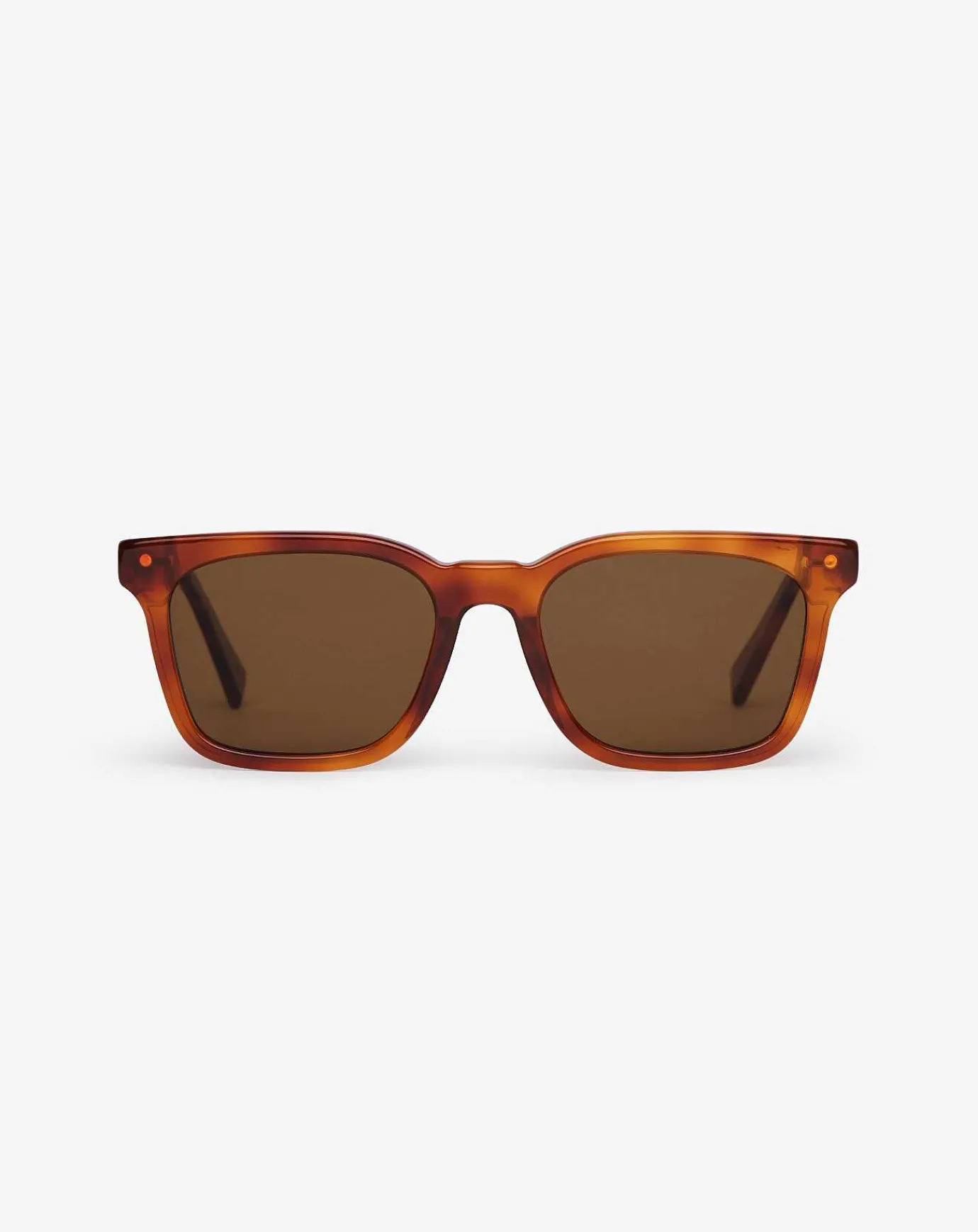 TravisMathew Seacliff Sunglasses> Sunglasses